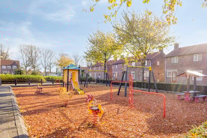 Photo 29 of Reigerstraat 3