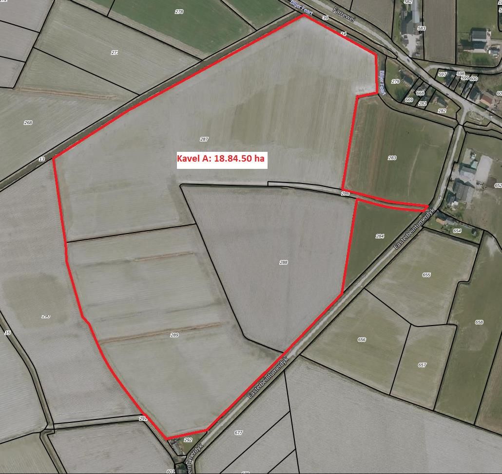 View photo 2 of Easterbeintumerdyk