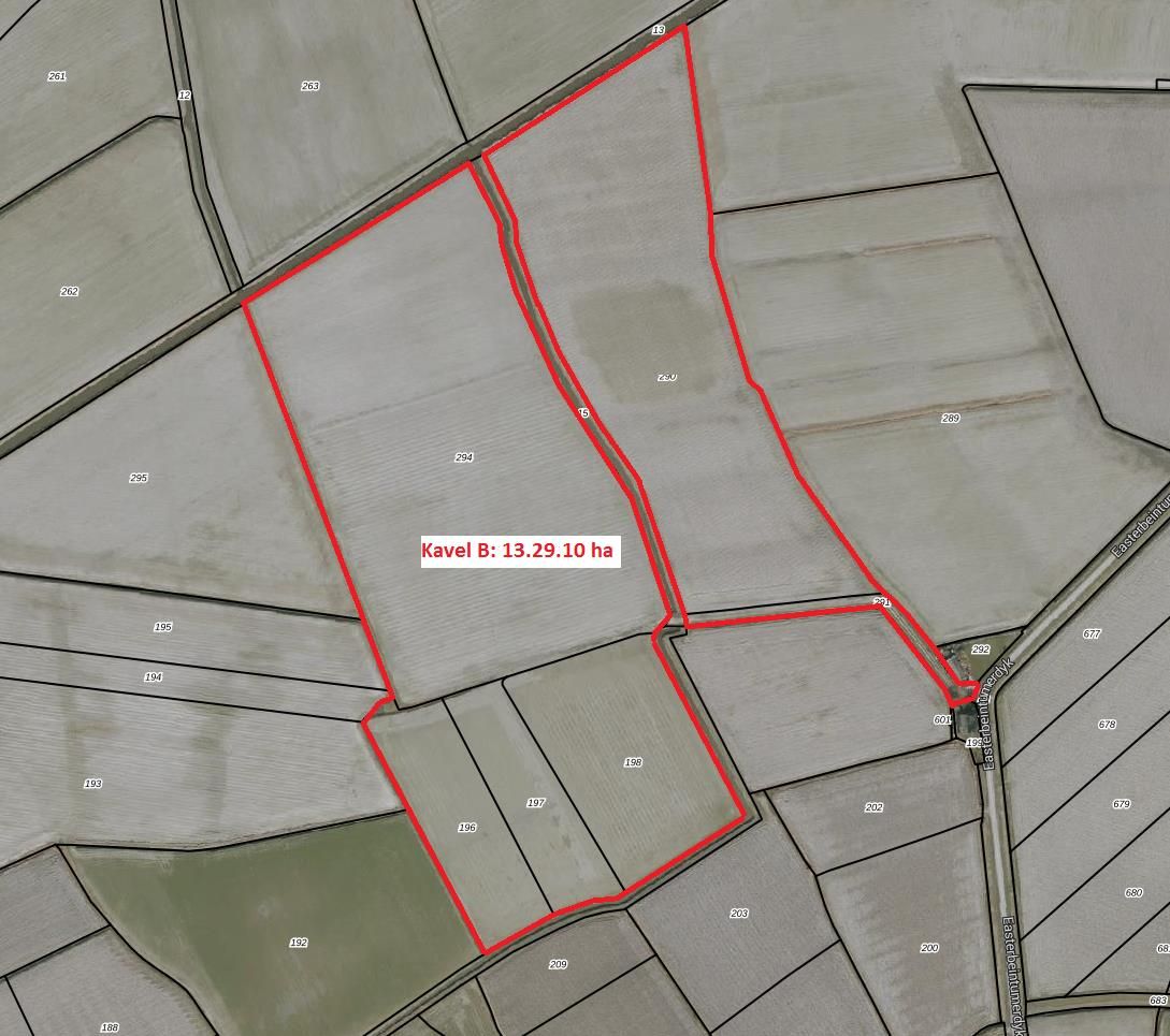 View photo 3 of Easterbeintumerdyk