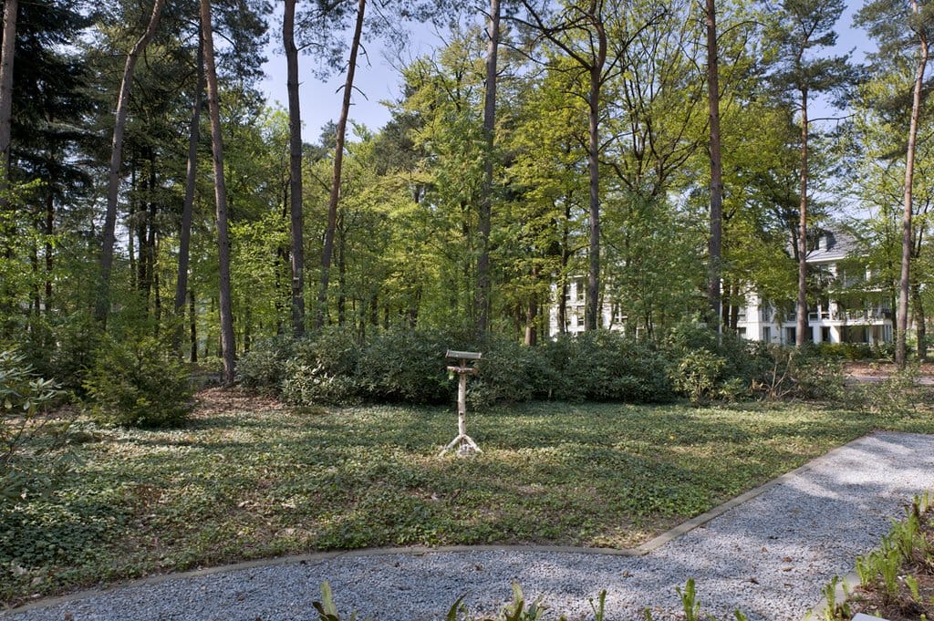 Foto 13 van Palisiumpark 4