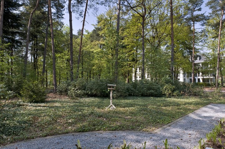 Photo 13 of Palisiumpark 4