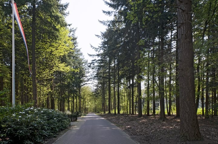 Photo 18 of Palisiumpark 4