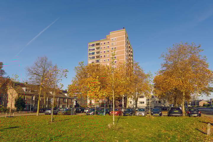 Foto 5 van de Greide 61