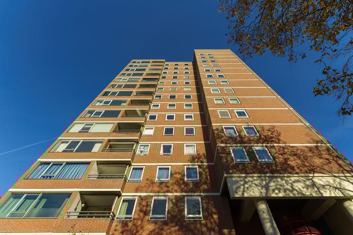 Foto 4 van de Greide 61