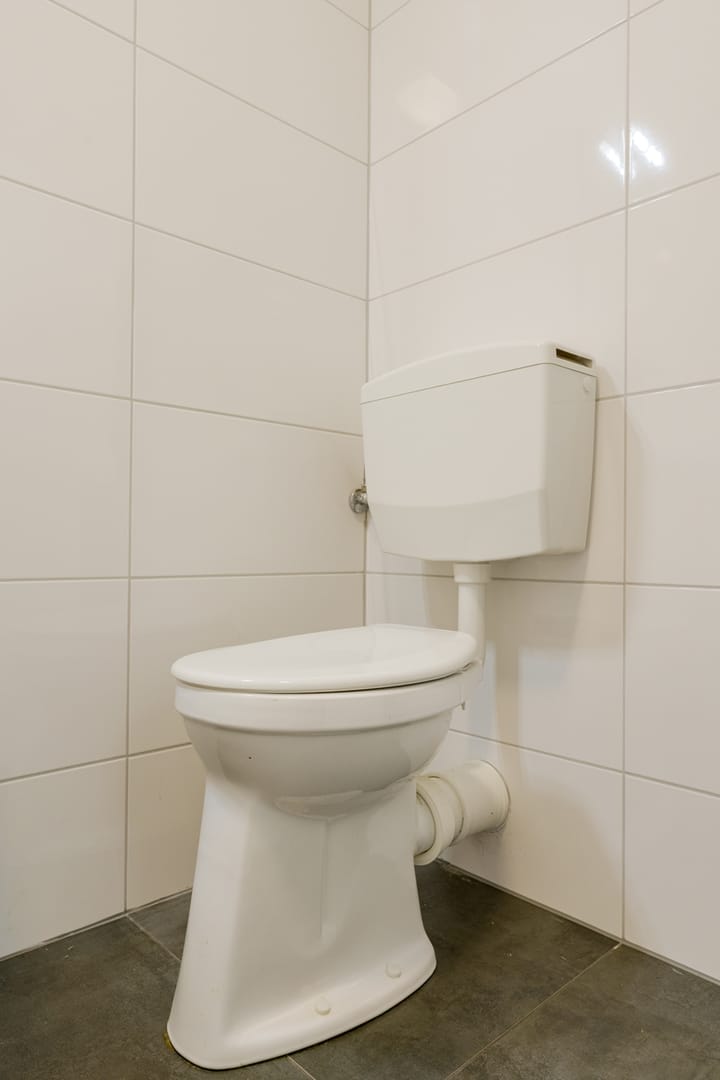 Foto 27 van de Greide 61