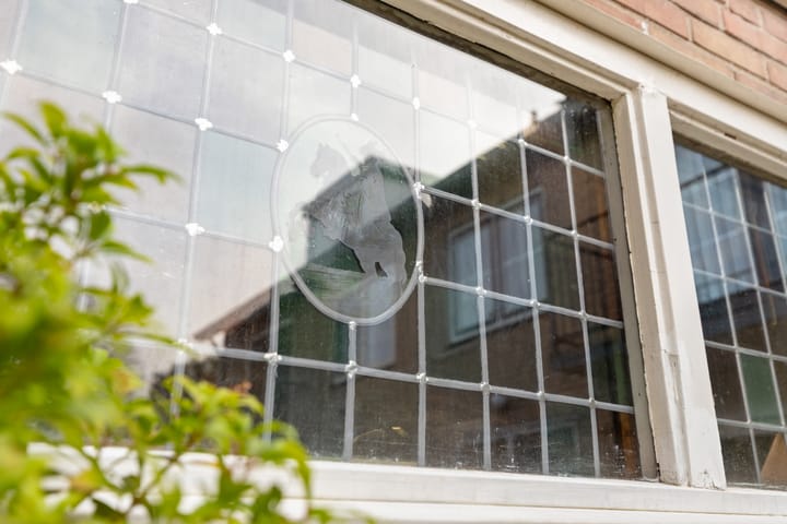 Photo 52 of Waterlooweg 13