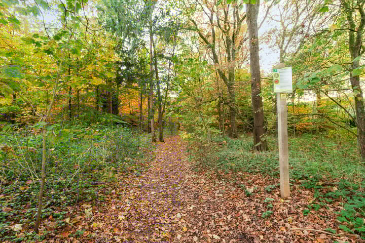 Photo 58 of Waterlooweg 13