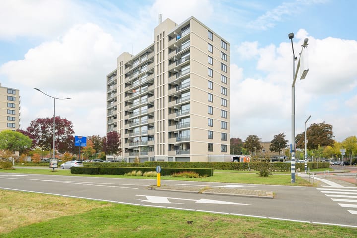 Foto 42 van Grote Spie 229