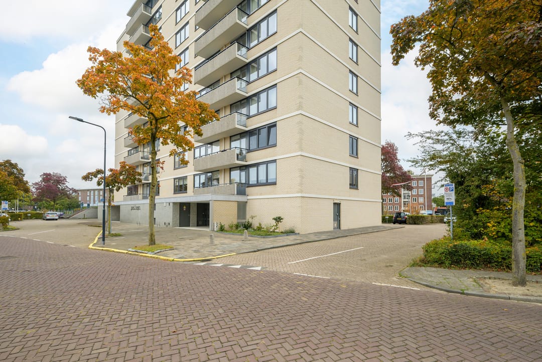 Foto 43 van Grote Spie 229