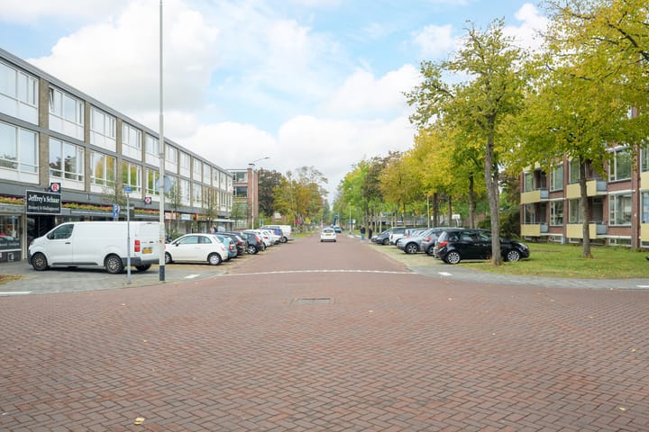 Foto 48 van Grote Spie 229