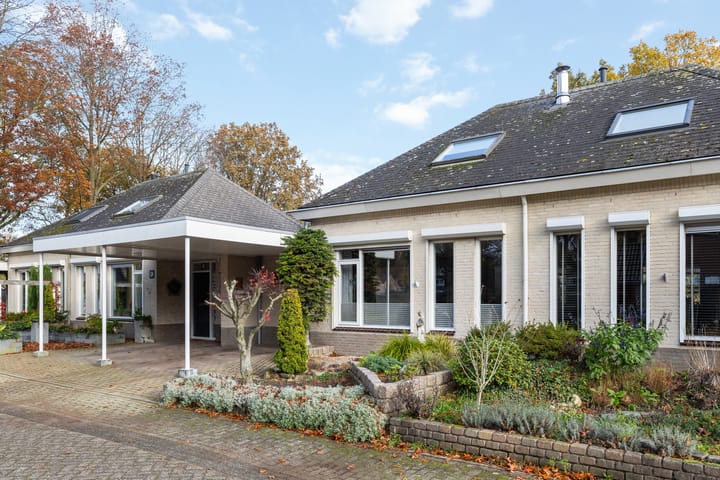 Foto 2 van Saffraan 3