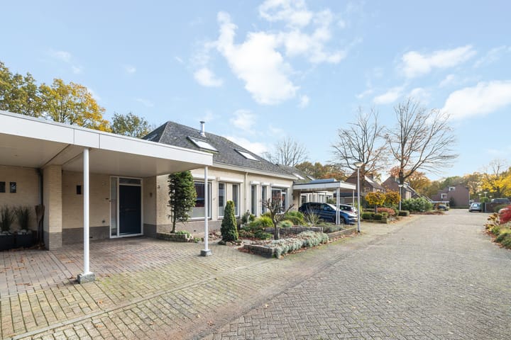 Foto 3 van Saffraan 3