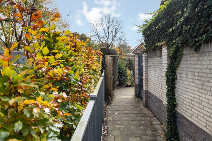 Foto 32 van Saffraan 3