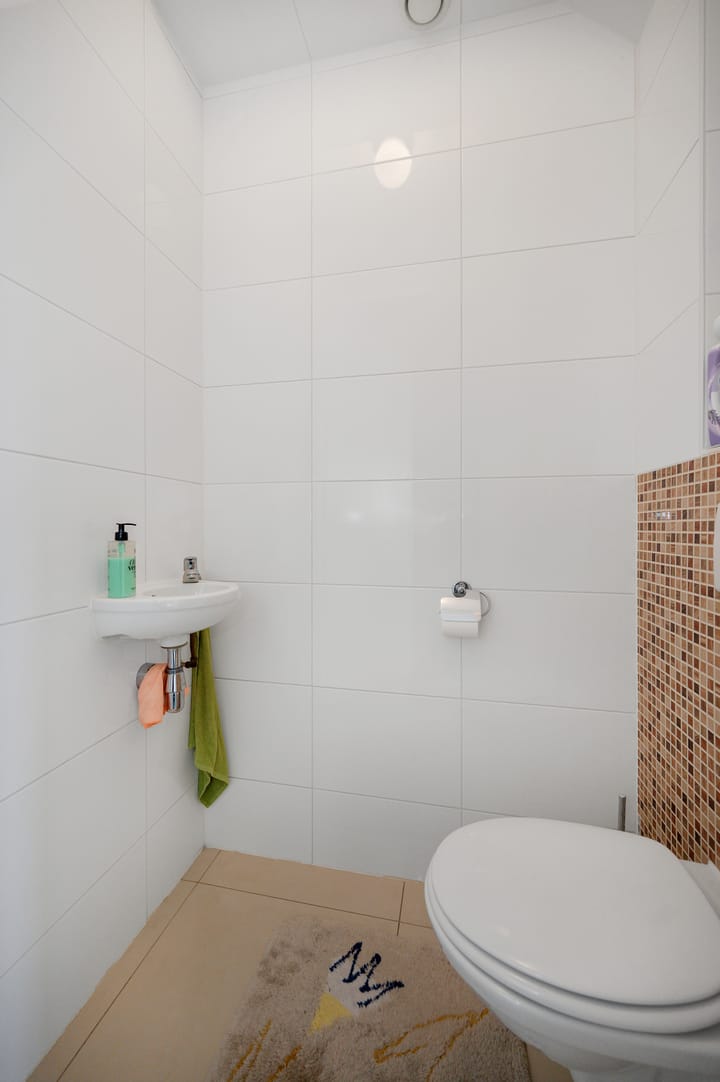 Foto 9 van Boelijn 162