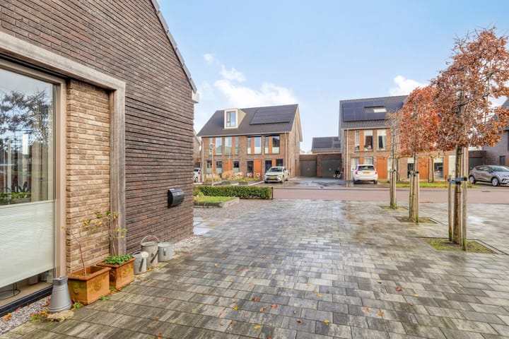 Foto 6 van Sleutelbloem 147