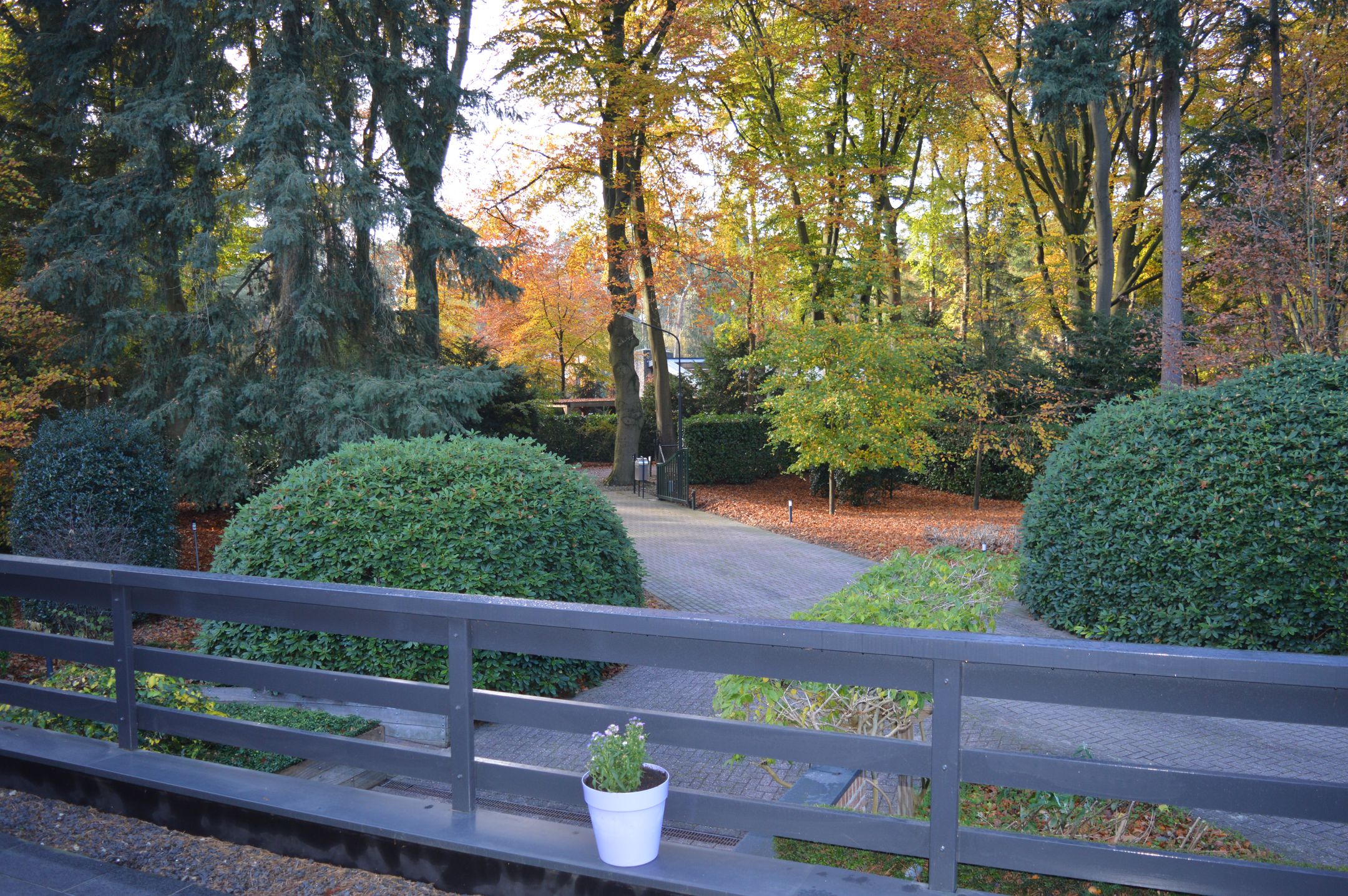 Photo 9 of Beukenlaan 5