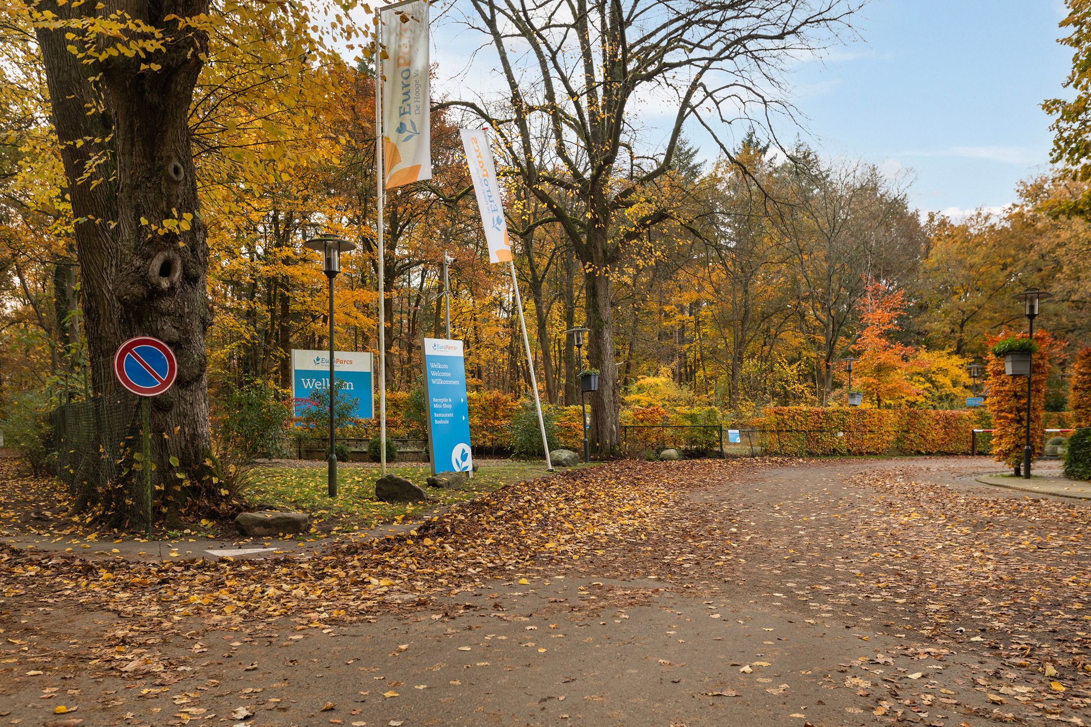 Foto 45 van Koningsweg 14-F8