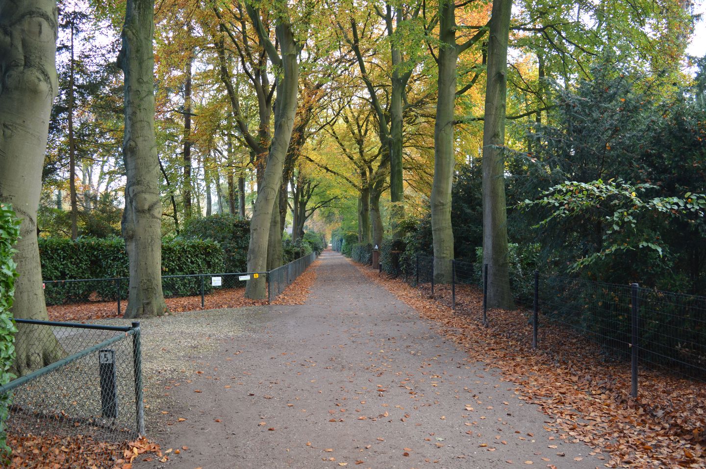 Photo 64 of Beukenlaan 5