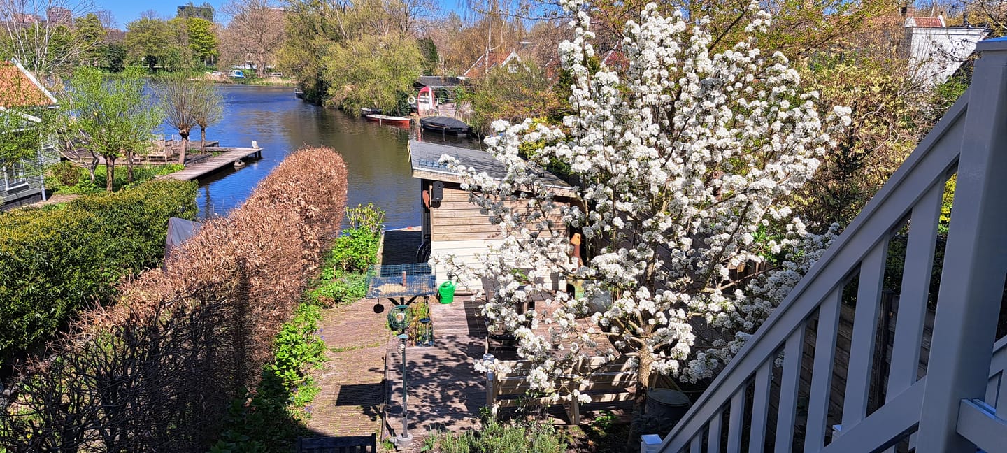 Foto 49 van Nieuwendammerdijk 241