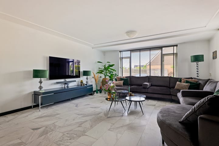 Foto 2 van Waterhoen 1