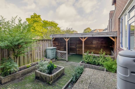 Dwergmeeuw 14 secondary image