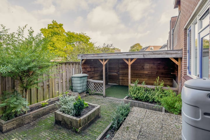 Foto 2 van Dwergmeeuw 14