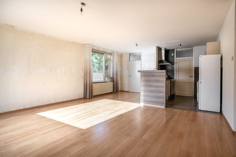 Dwergmeeuw 14 tertiary image