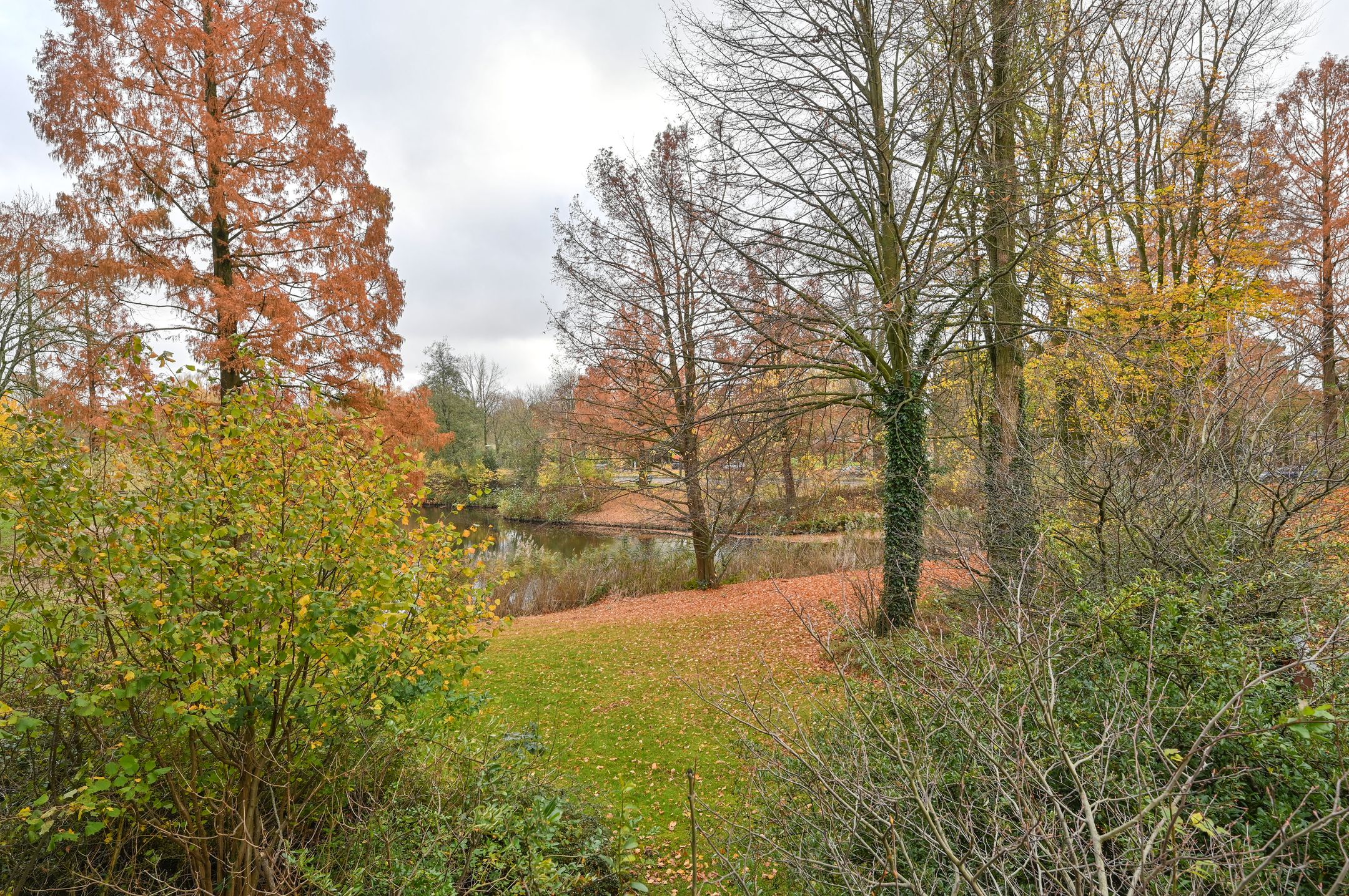 Foto 3 van Veenbesstraat 508