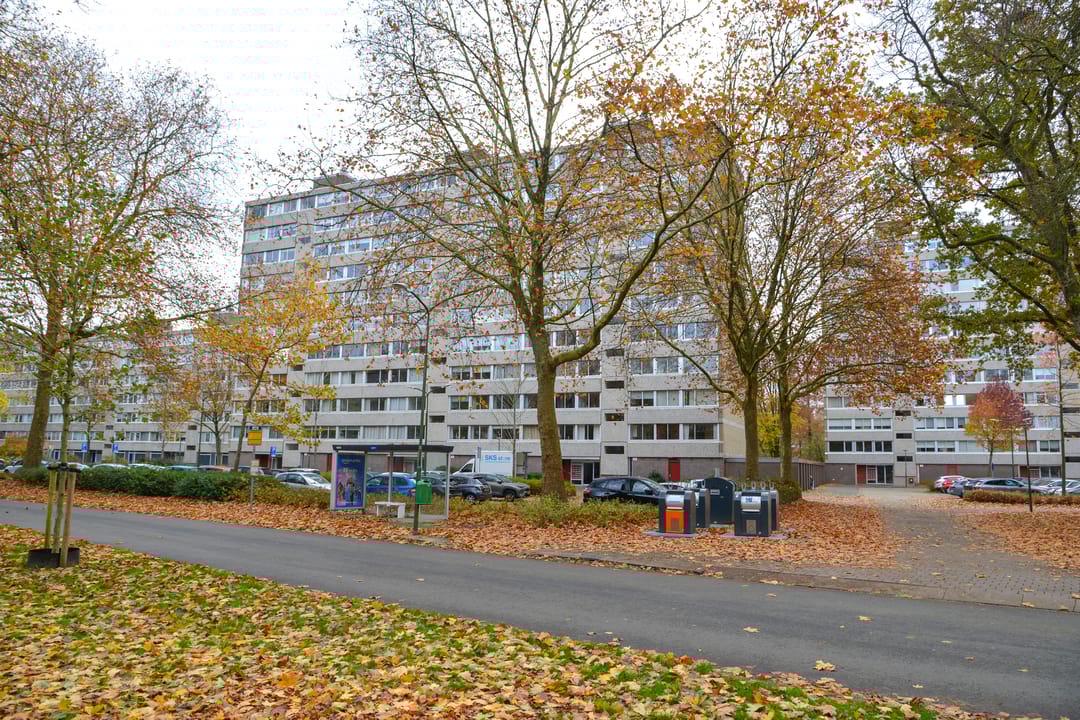 Foto 17 van Veenbesstraat 508