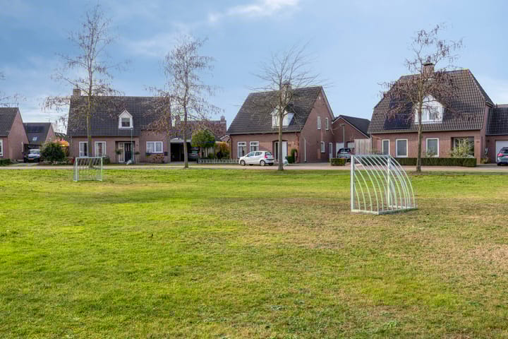 Foto 32 van De Esdoorn 23