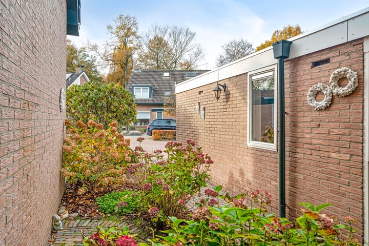 Photo 7 of Israëlserf 20