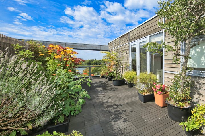 Photo 34 of Oeverzeggestraat 36