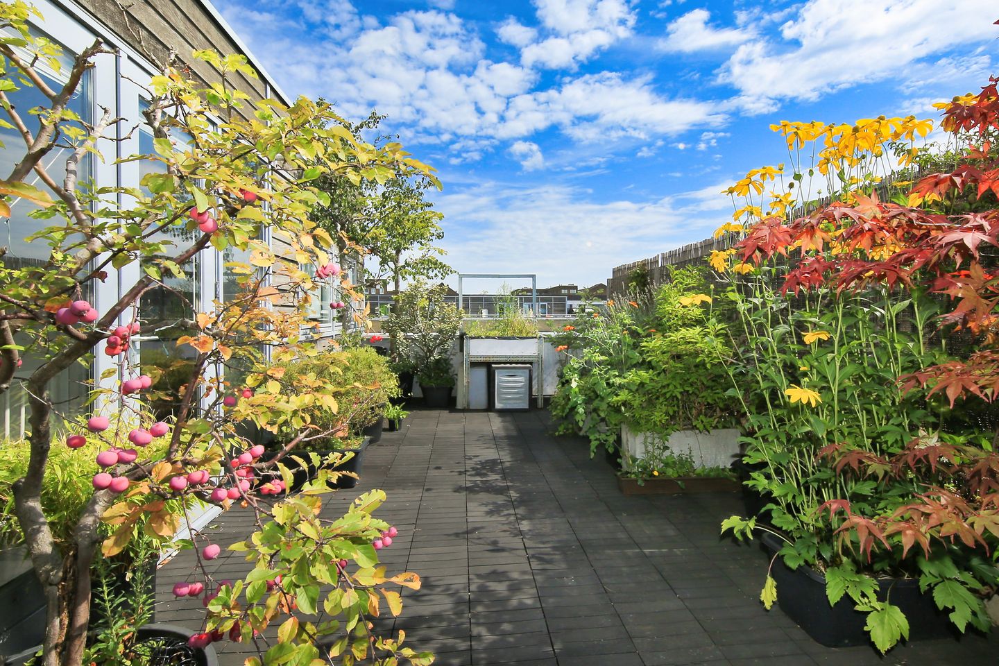 Foto 35 van Oeverzeggestraat 36