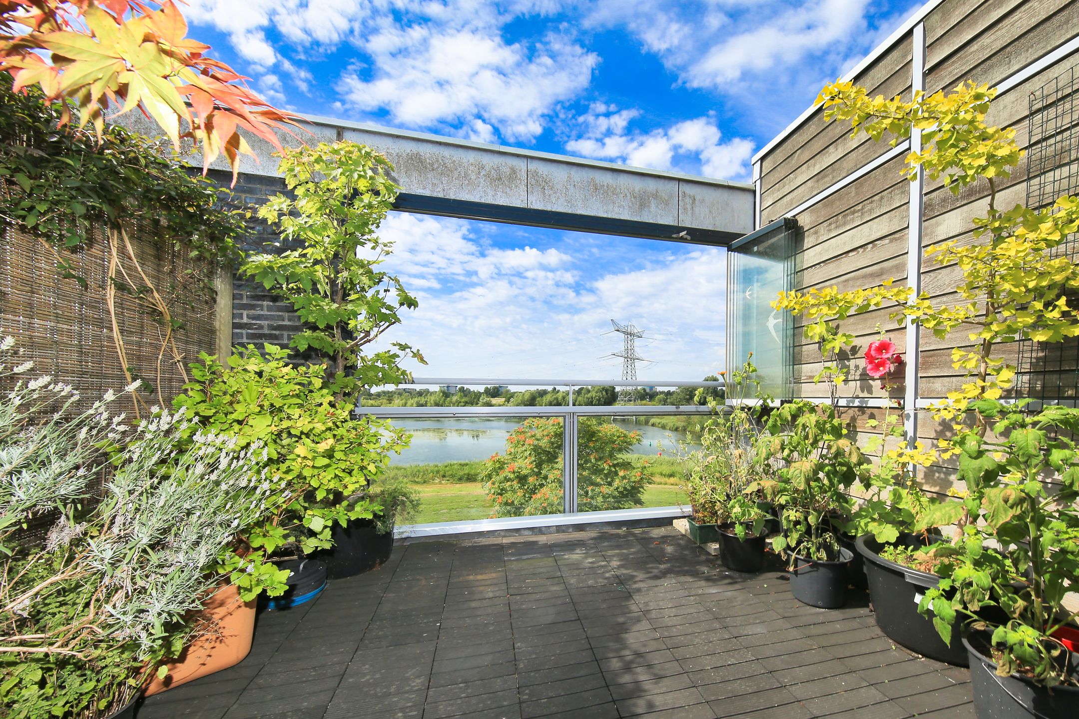 Foto 36 van Oeverzeggestraat 36