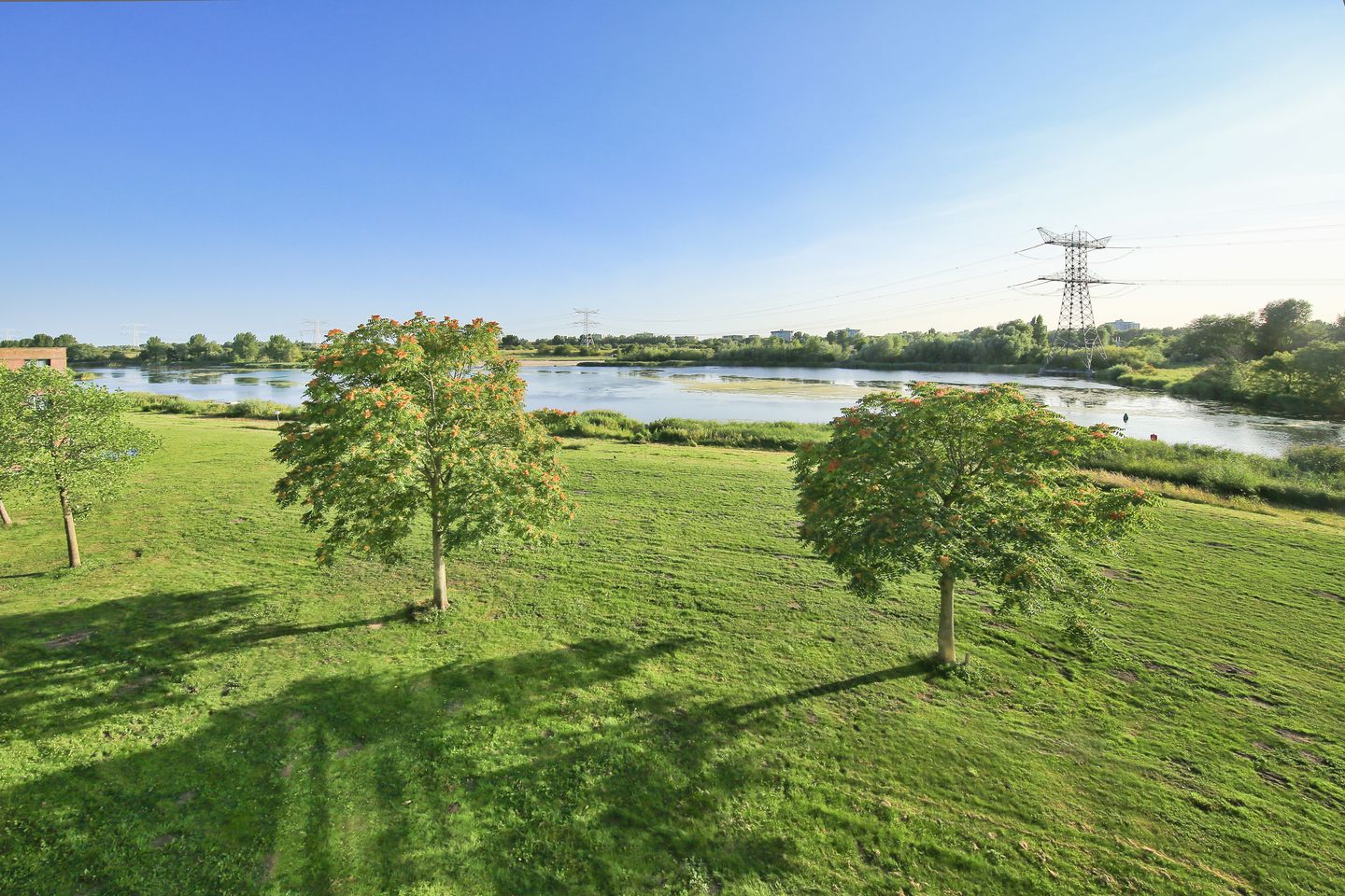 Foto 44 van Oeverzeggestraat 36