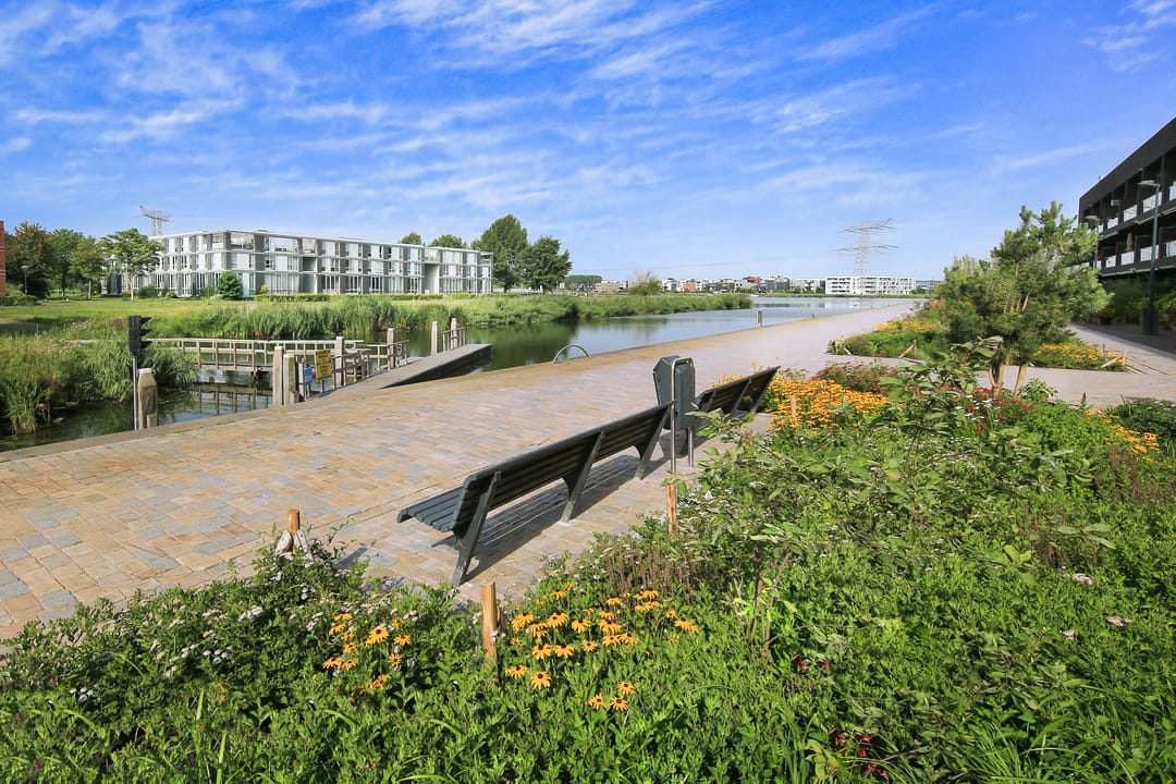 Foto 53 van Oeverzeggestraat 36