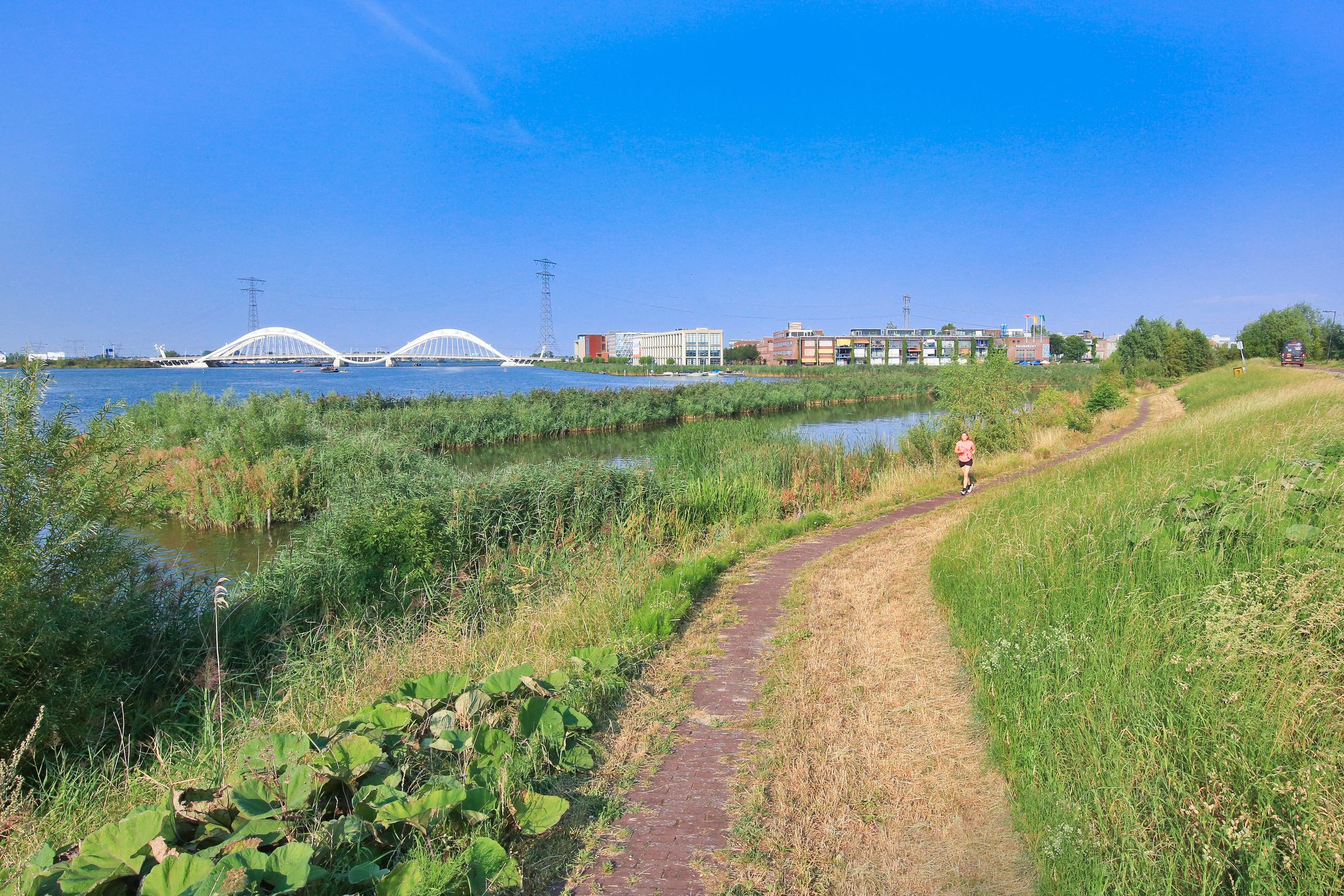 Foto 60 van Oeverzeggestraat 36