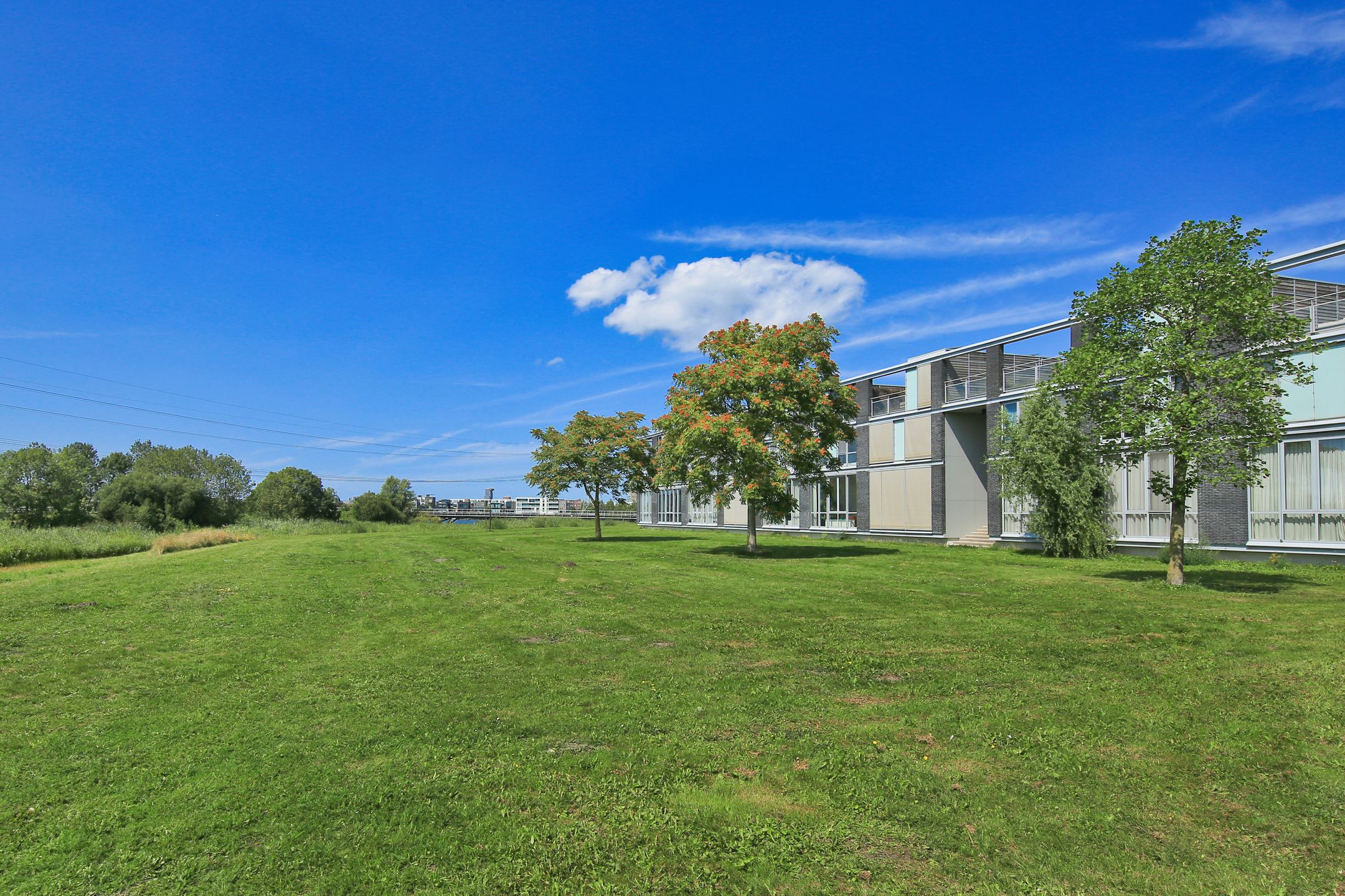 Foto 57 van Oeverzeggestraat 36