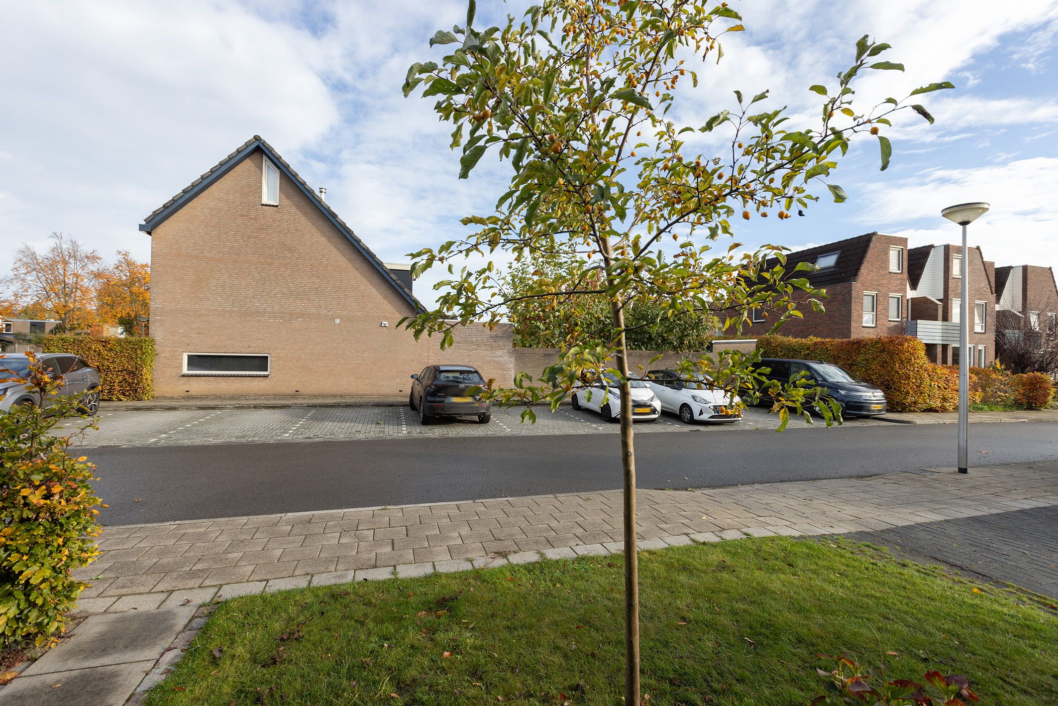 Foto 42 van Lijsterbesstraat 25