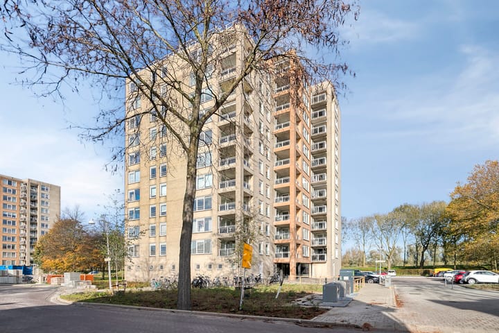 Foto 4 van Hermelijnvlinder 49