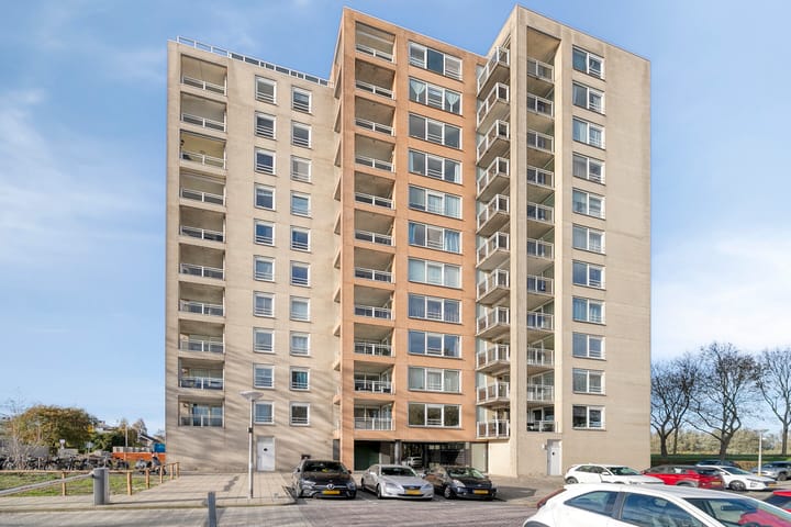 Foto 5 van Hermelijnvlinder 49