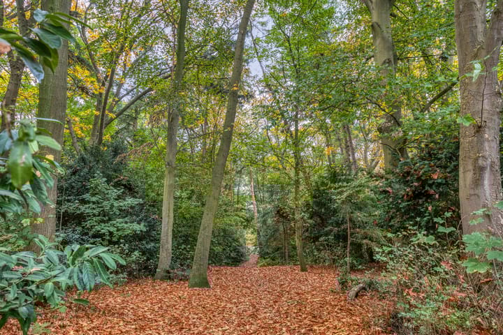 Photo 32 of van den Kerkhoffstraat 15