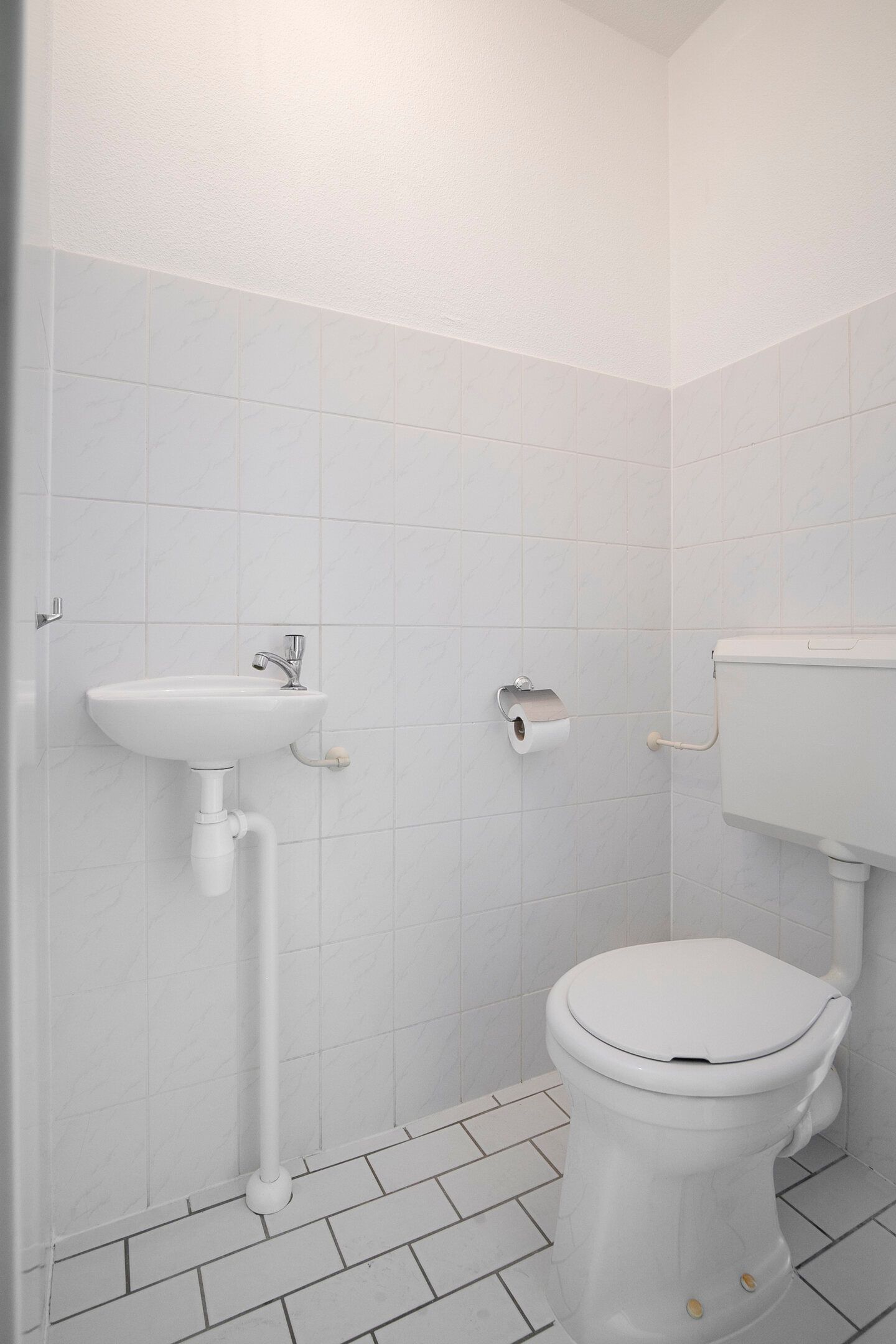 Photo 20 of Hermelijnvlinder 95