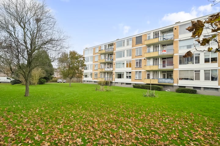 Van Ostadelaan 140 main image