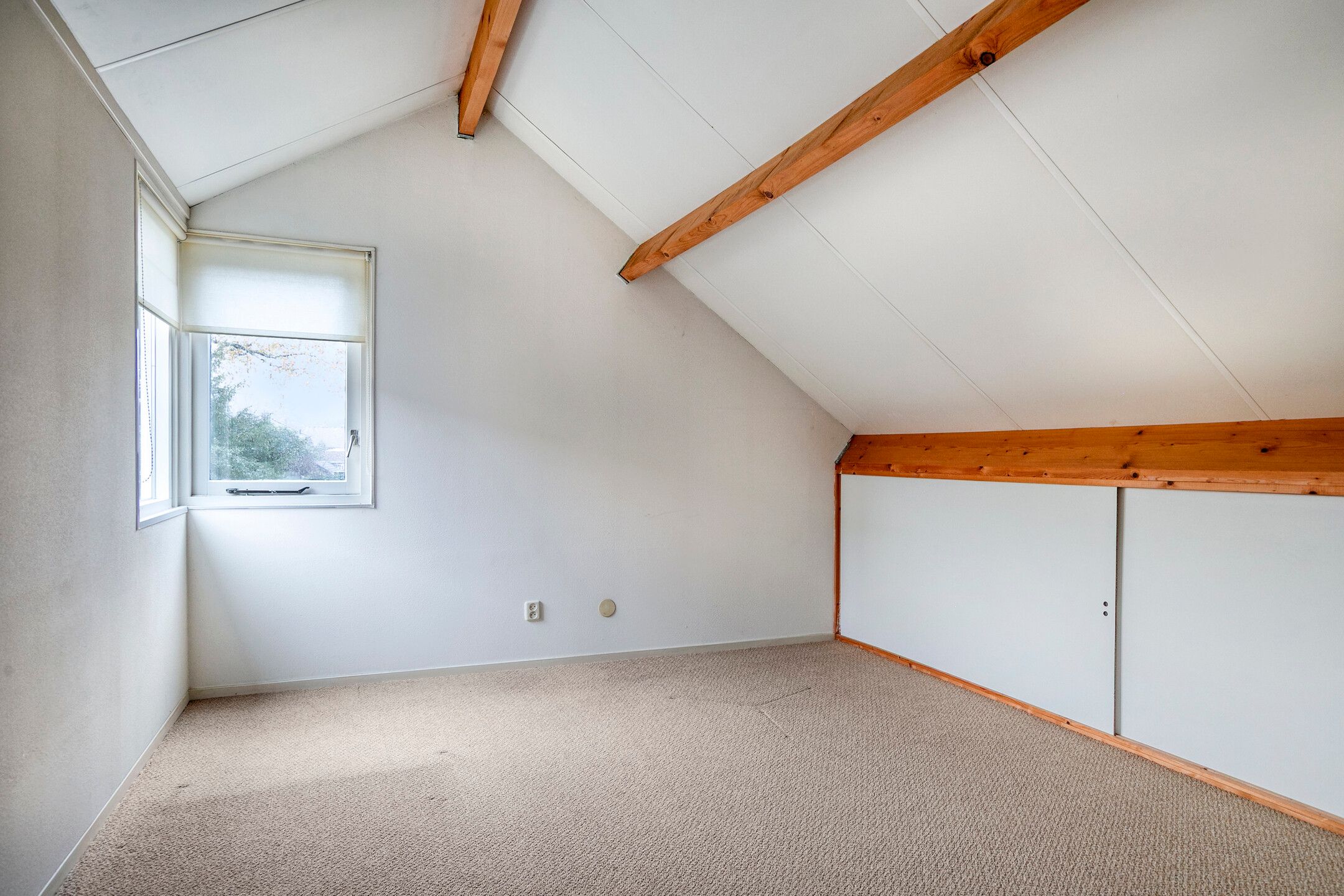 Foto 18 van de Binnentuin 10