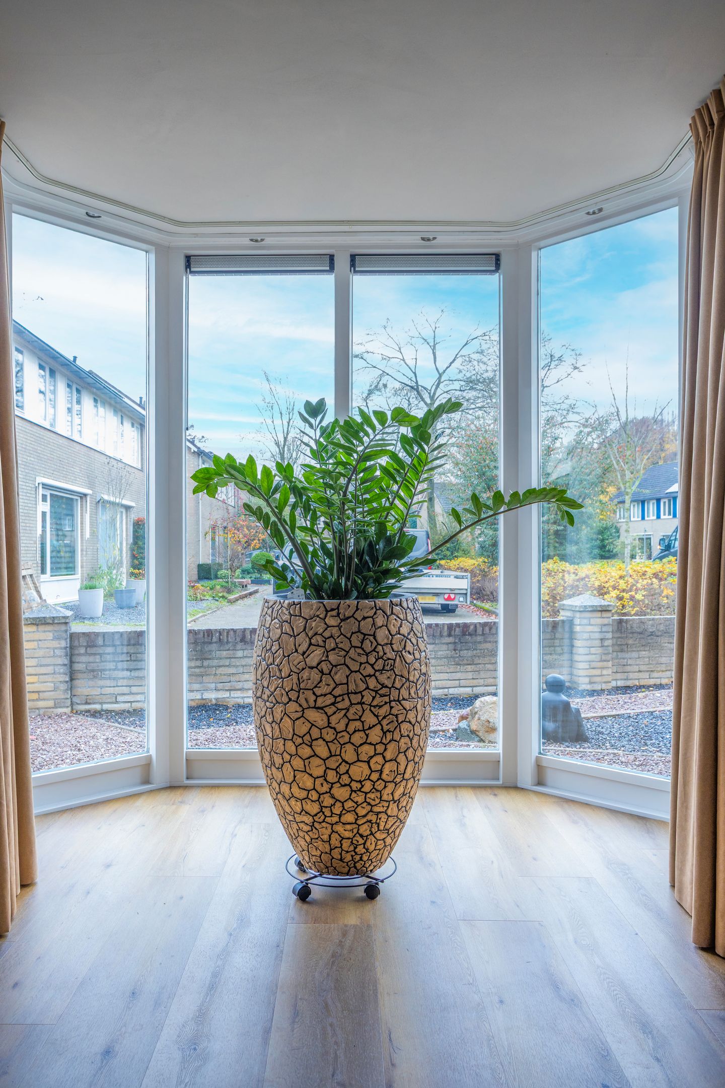 Photo 10 of Adelaar 30