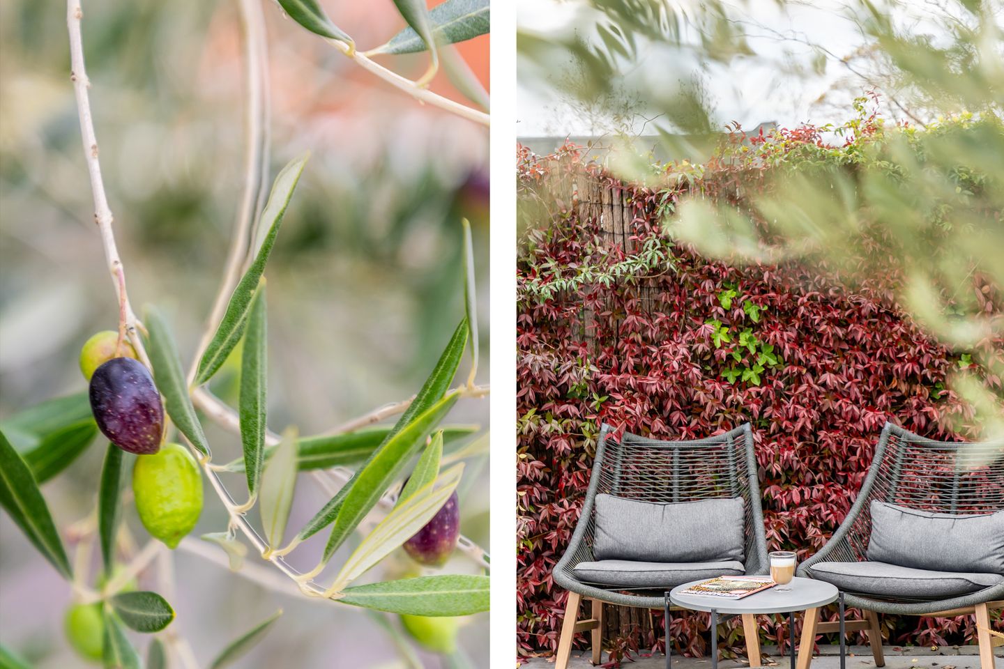 Photo 55 of Kerkplein 10