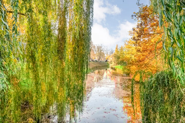 Photo 88 of J H Tromp Meestersstraat 13