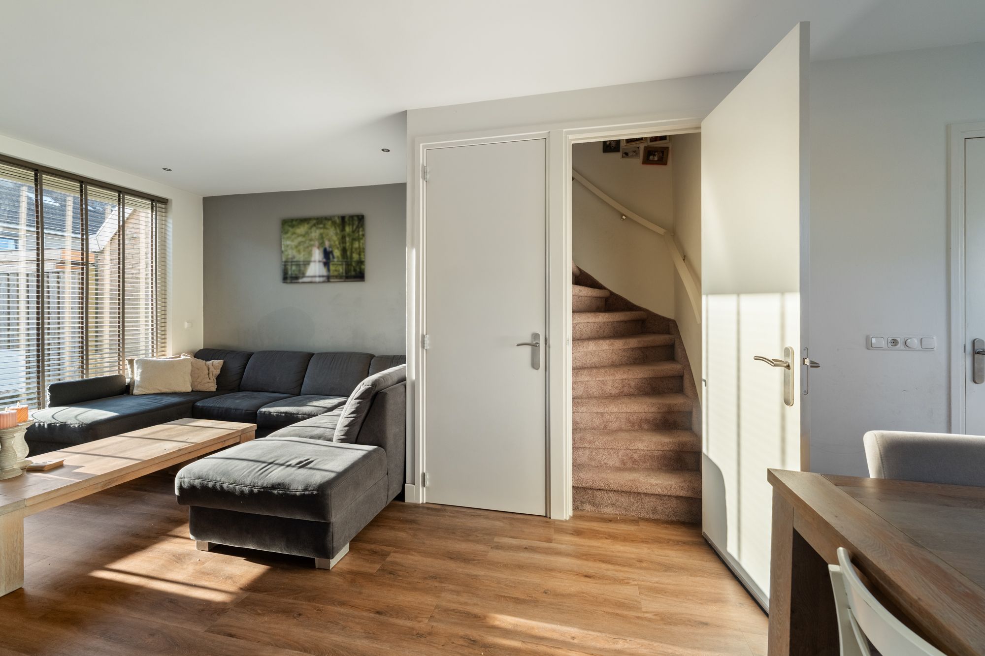 Foto 12 van Klaver 2