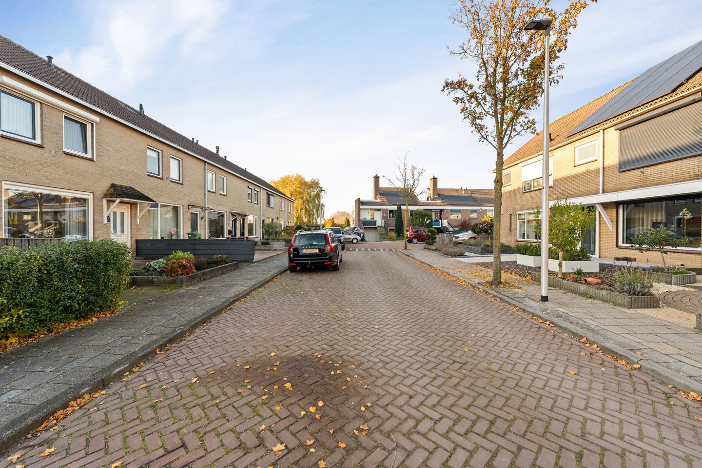 Foto 49 van Klaver 2